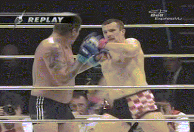 Cro Cop WIldboys