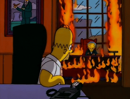 Mr Burns World Fire