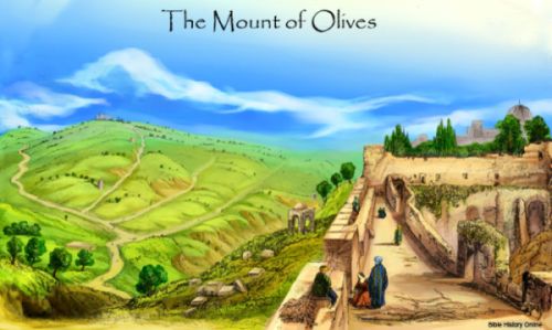 mount of olives salazar