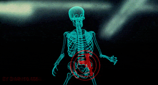 TSA flight inspection